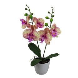 Maceta Orquídeas x 2 con Macetero - 45 cm