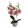 Maceta Orquídeas x 2 con Macetero - 45 cm