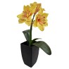 Amaryllis plant with pot - 47 cm