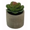 Terracotta Captus Center Pot