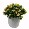 Mini Flower Pot - 12 cm