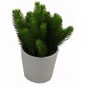 Pine pot - 14 cm