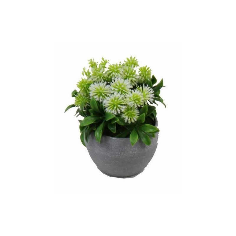 Pom Pom Flower Pot - 12 cm