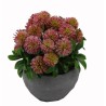 Pom Pom Flower Pot - 12 cm