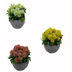 Pom Pom Flower Pot - 12 cm