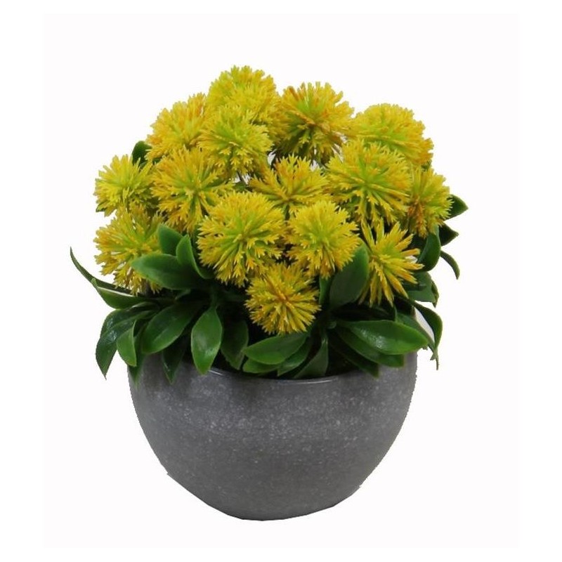 Pom Pom Flower Pot - 12 cm