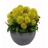 Pom Pom Flower Pot - 12 cm