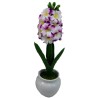 Hyacinth pot with pot - 30 cm