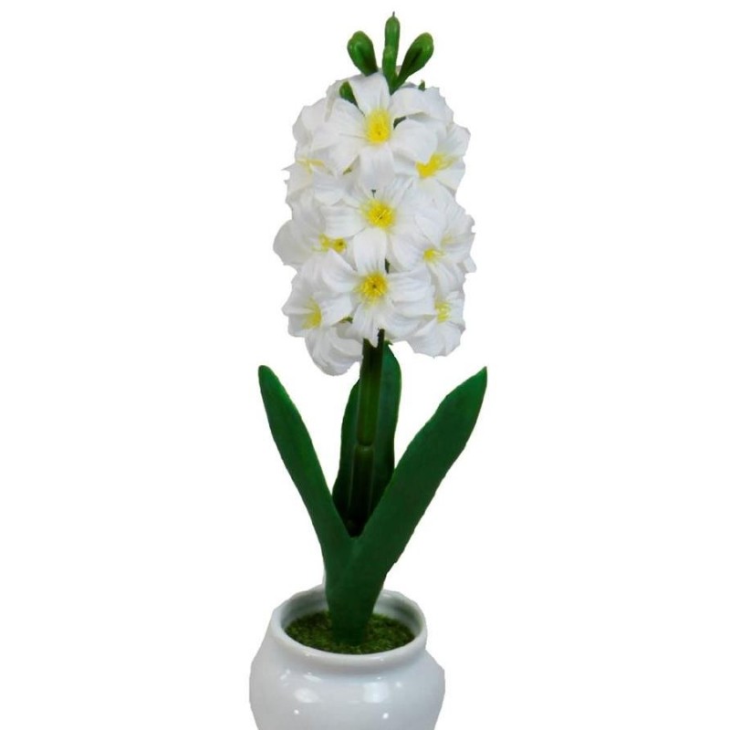 Hyacinth pot with pot - 30 cm