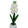 Hyacinth pot with pot - 30 cm