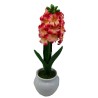 Hyacinth pot with pot - 30 cm