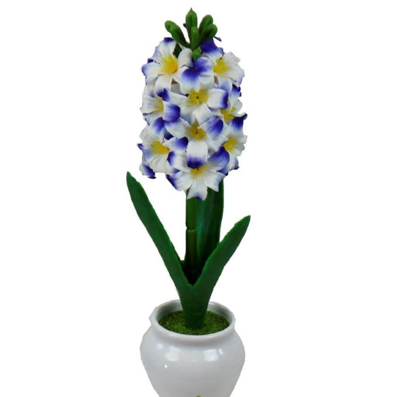 Hyacinth pot with pot - 30 cm