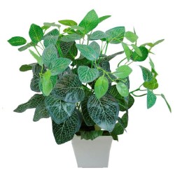 Begonia pot with planter - 35 cm