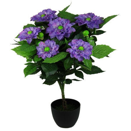 Dalias pot x 9 with pot - 65 cm