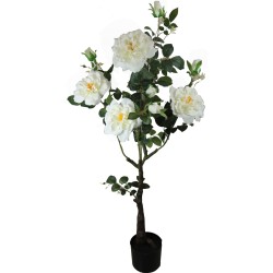 Rose bush x 10 Flowers - 115 cm