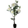 Rosal x 10 Flores - 115 cm