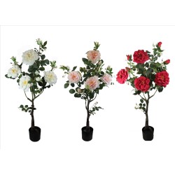 Rose bush x 10 Flowers - 115 cm