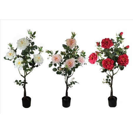 Rose bush x 10 Flowers - 115 cm