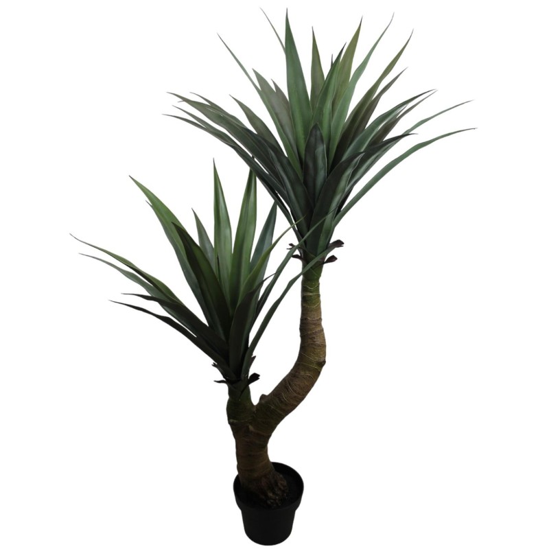 Yucca Plant - 135 cm