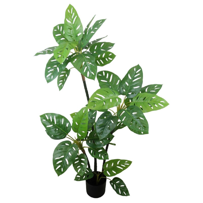 Monstera Plant - 130 cm