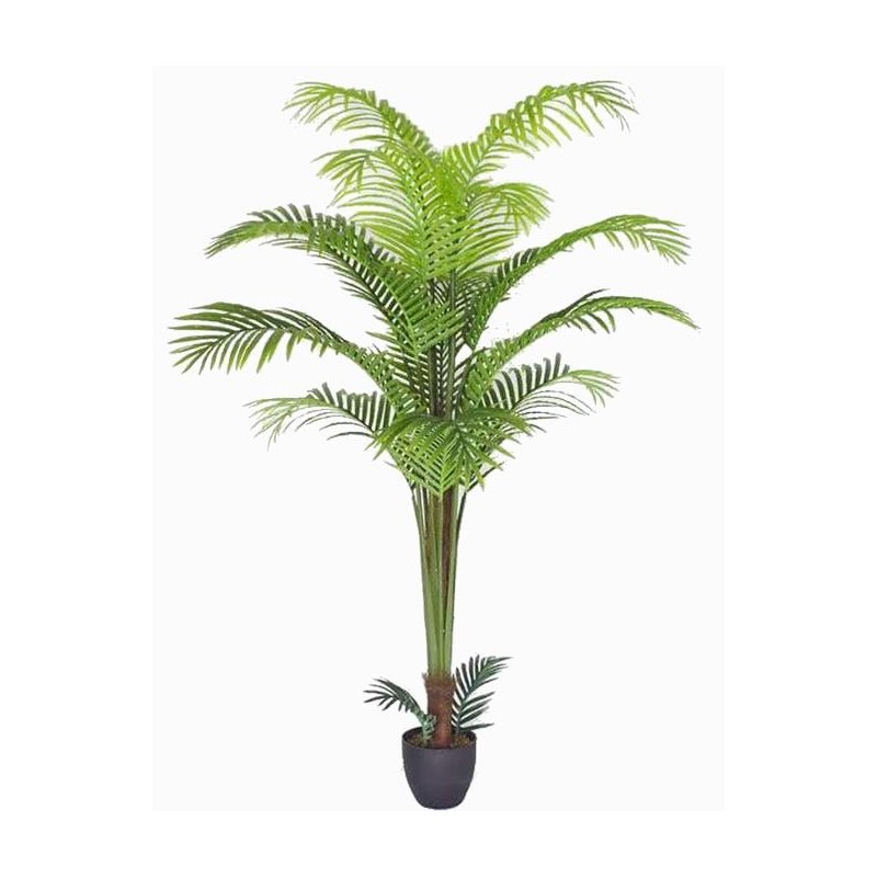 Areca palm tree with pot - 160 cm