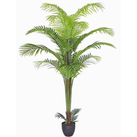 Areca palm tree with pot - 160 cm