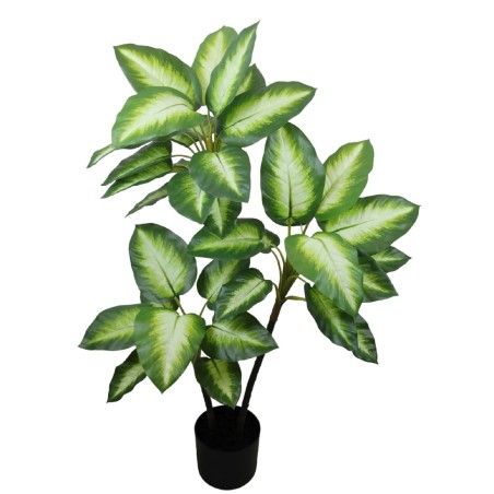 Planta Difenbachia - 100 cm